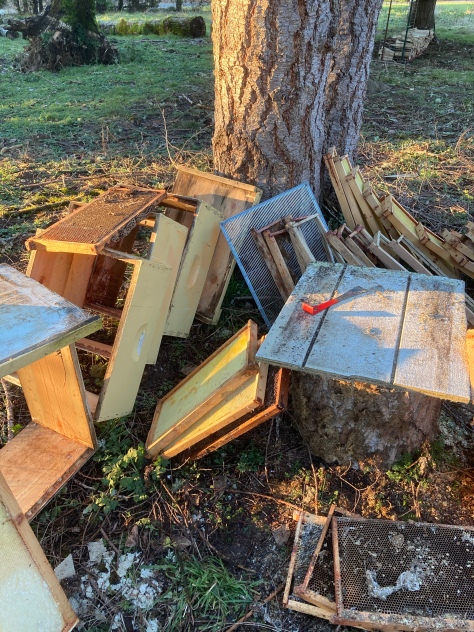 disassembled beehive